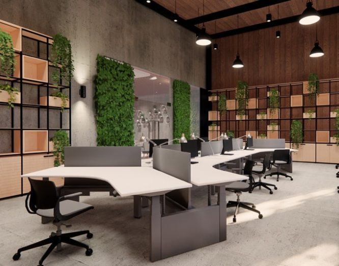 hizmetler-konsept-tasarim-gelistirme